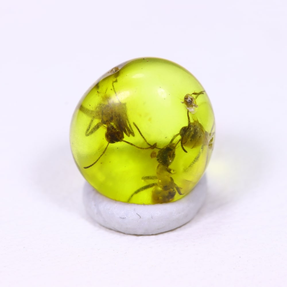 0.92cts Natural Million Year Old Baltic Insect Amber, 8x7mm: Ksmith Jewels Global Welcome to our auction house, today auction brought to you by Ksmith Jewels Global based in Penang, Malaysia specialize in all kinds of opal and color gemstone both in manufacturi