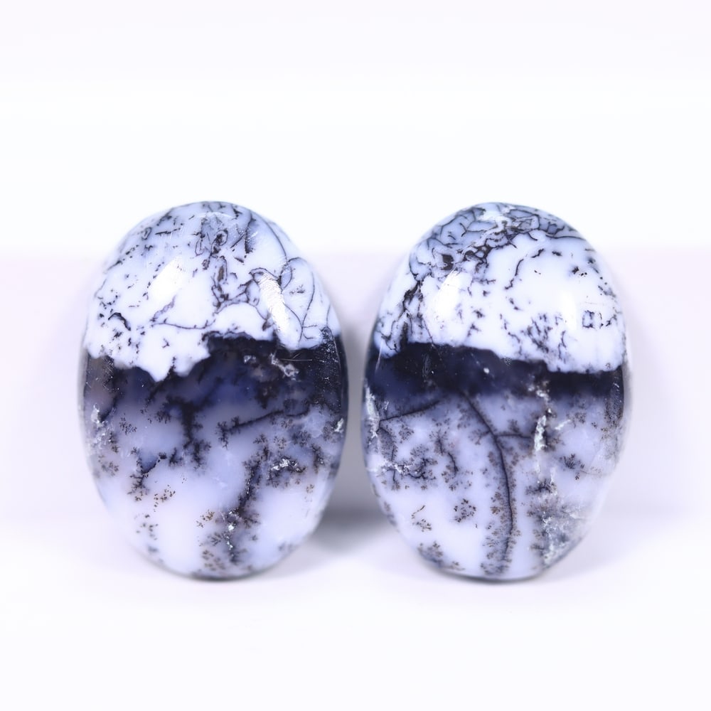 15.35Ct Dendrite Opal Pair - Cabochon Polished (1 of 2)