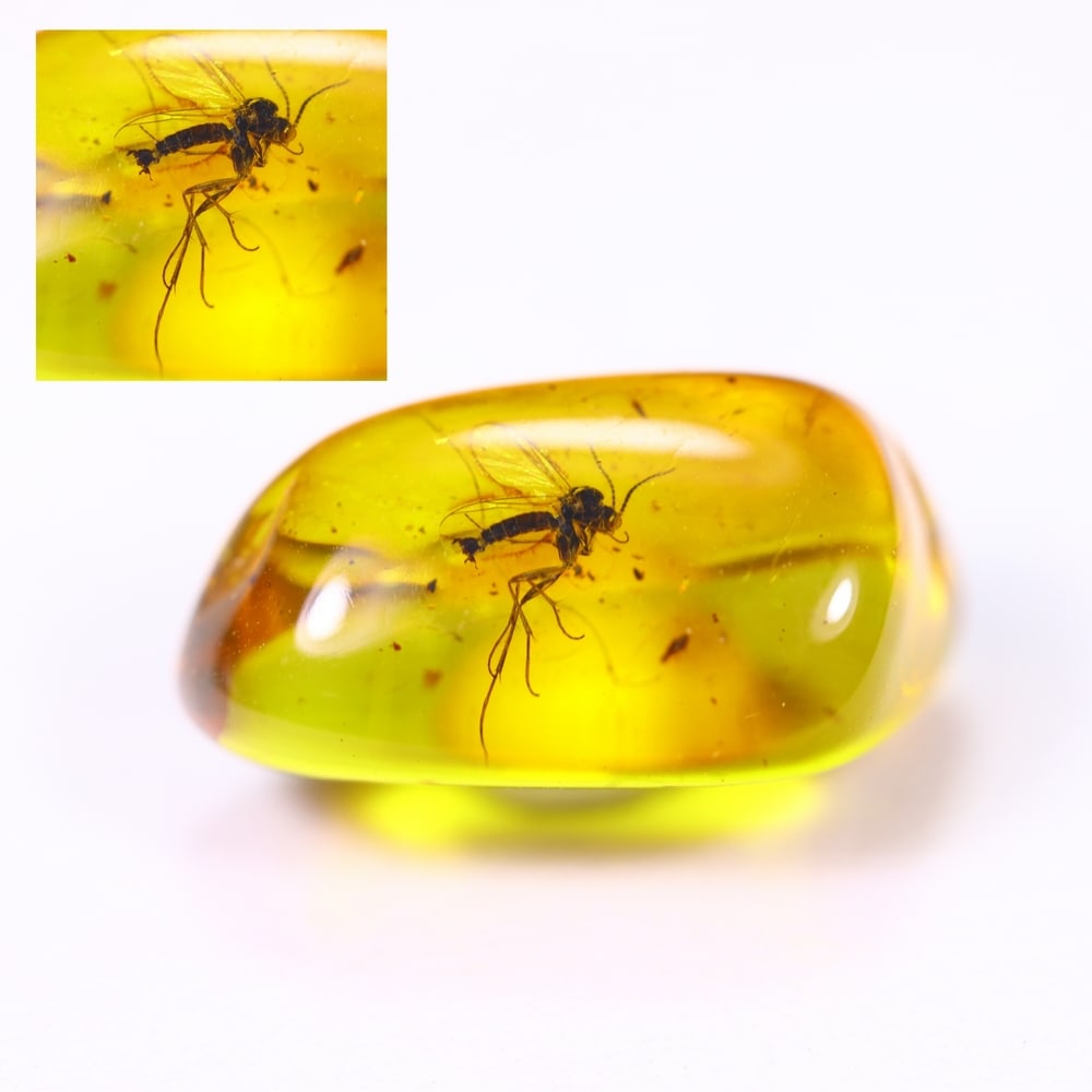 1.56cts Natural Million Year Old Baltic Insect Amber, 13x6mm: Ksmith Jewels Global Welcome to our auction house, today auction brought to you by Ksmith Jewels Global based in Penang, Malaysia specialize in all kinds of opal and color gemstone both in manufacturi