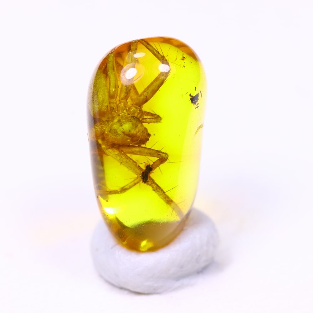 1.02cts Natural Million Year Old Baltic Insect Amber, 10x6mm: Ksmith Jewels Global Welcome to our auction house, today auction brought to you by Ksmith Jewels Global based in Penang, Malaysia specialize in all kinds of opal and color gemstone both in manufacturi