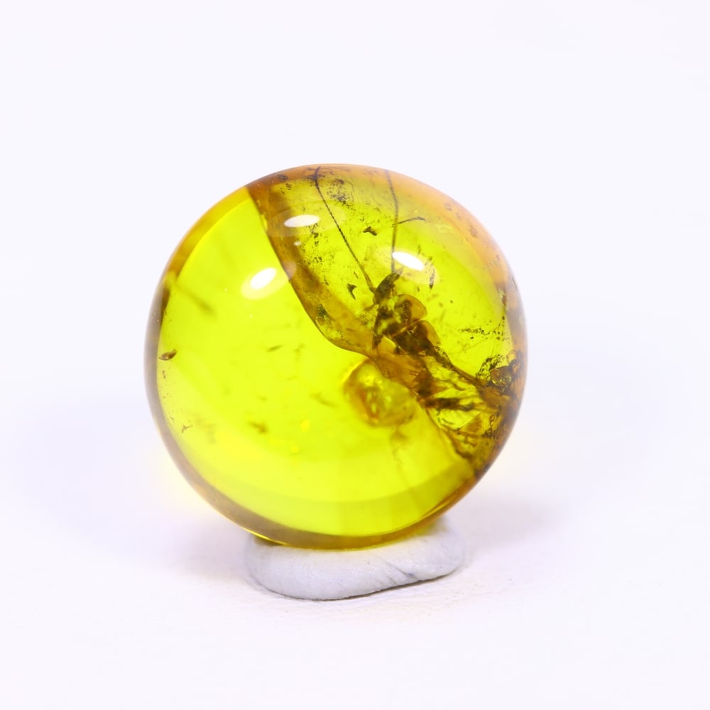 3.76cts Natural Million Year Old Baltic Insect Amber, 12x12mm: Ksmith Jewels Global Welcome to our auction house, today auction brought to you by Ksmith Jewels Global based in Penang, Malaysia specialize in all kinds of opal and color gemstone both in manufacturi