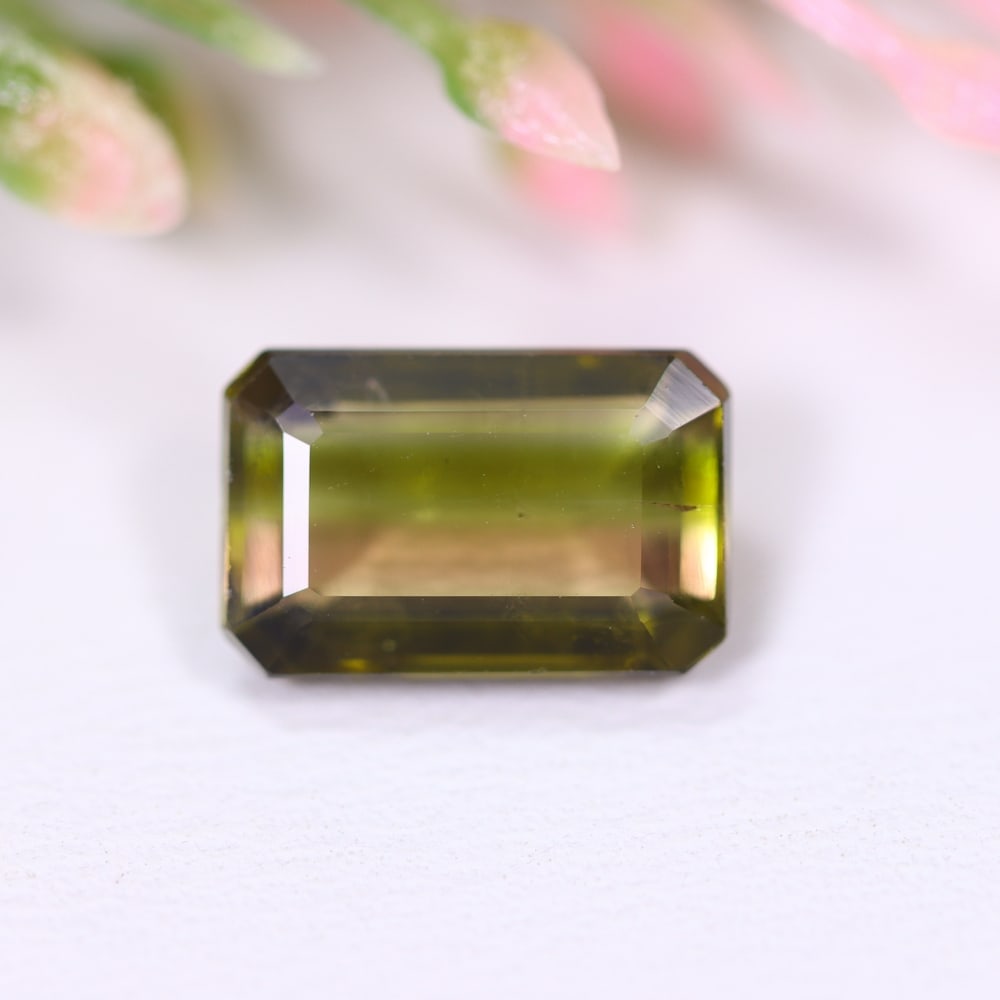 2.90cts Natural Watermelon Tourmaline - Bi-Colour Faceted Cut: Ksmith Jewels Global Welcome to our auction house, today auction brought to you by Ksmith Jewels Global based in Penang, Malaysia specialize in all kinds of opal and color gemstone both in manufacturi