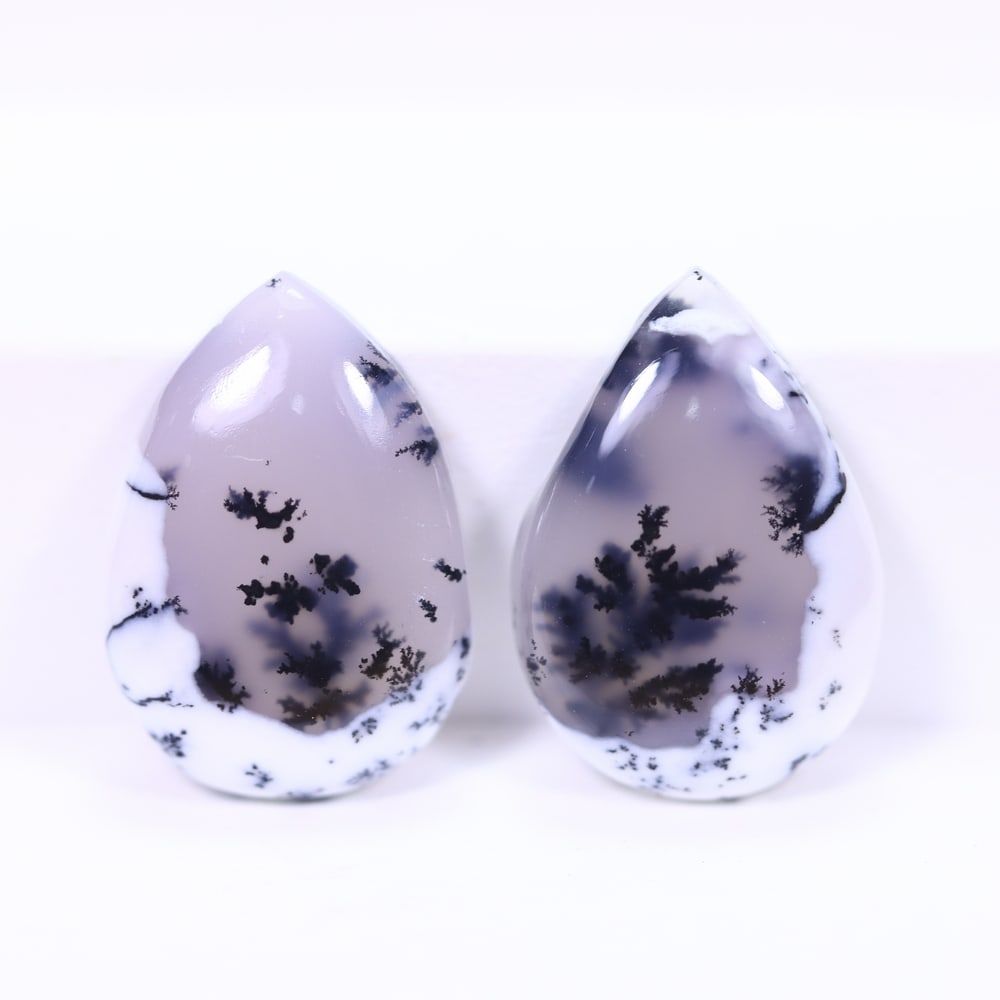 13.63Ct Dendrite Opal Pair - Cabochon Polished (1 of 2)
