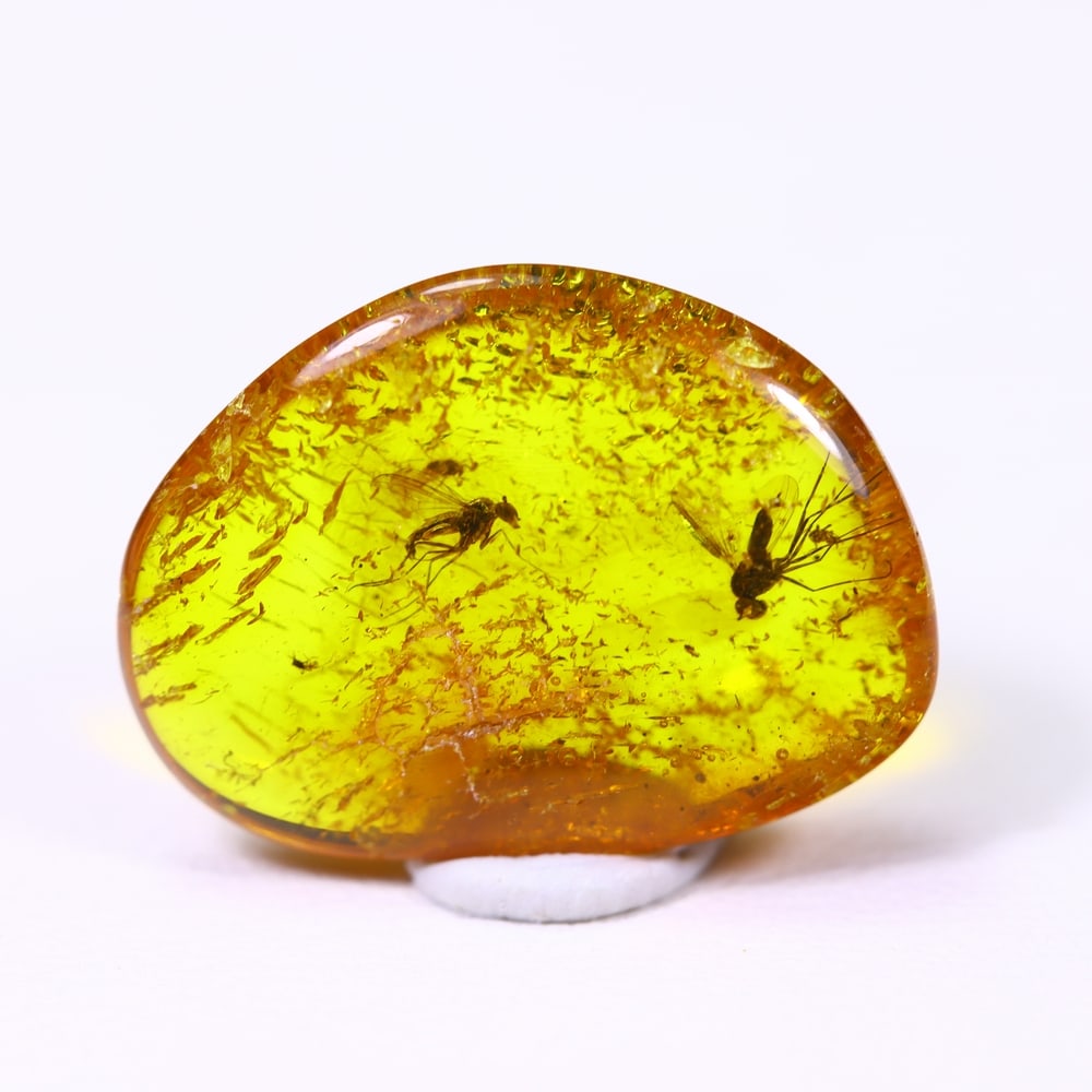 2.22cts Natural Million Year Old Baltic Insect Amber, 16x12mm: Ksmith Jewels Global Welcome to our auction house, today auction brought to you by Ksmith Jewels Global based in Penang, Malaysia specialize in all kinds of opal and color gemstone both in manufacturi