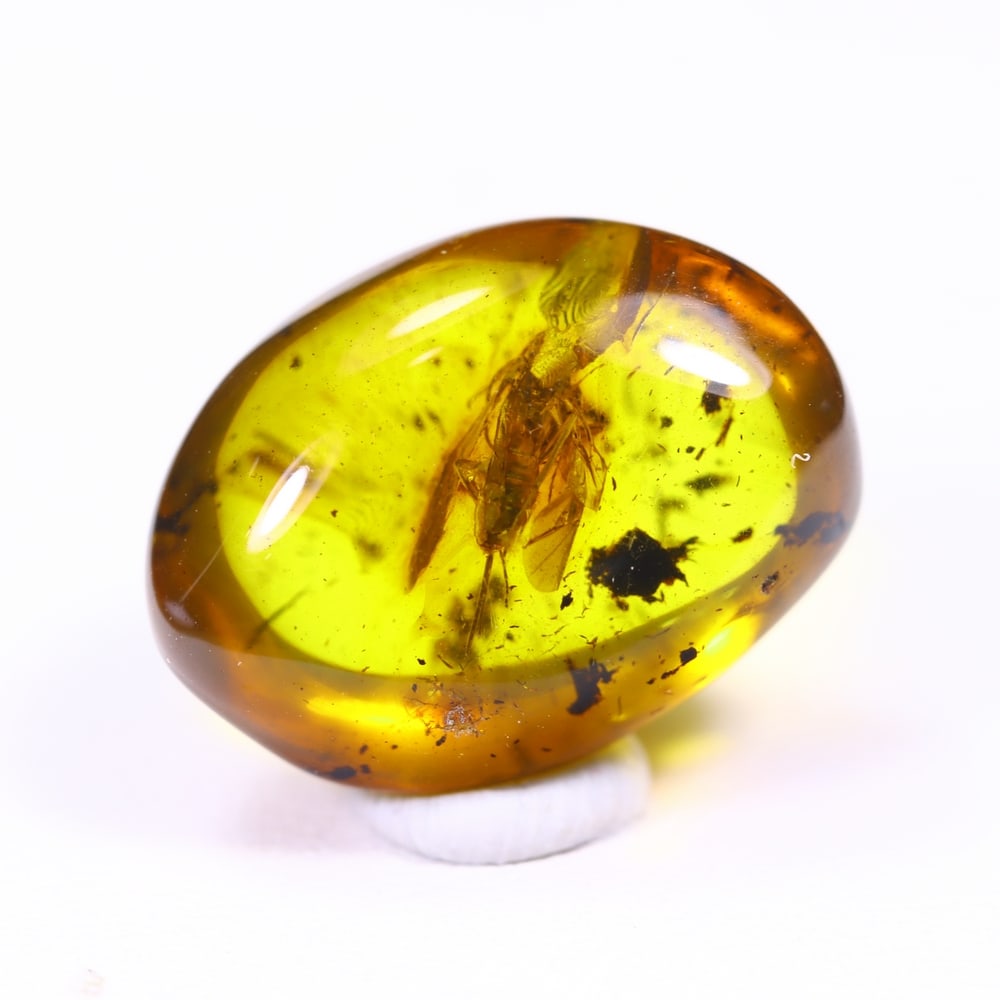 *5.12cts Natural Million Year Old Baltic Insect Amber, 16x12mm: Ksmith Jewels Global Welcome to our auction house, today auction brought to you by Ksmith Jewels Global based in Penang, Malaysia specialize in all kinds of opal and color gemstone both in manufacturi