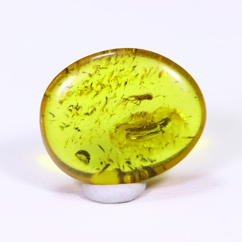 2.82cts Natural Million Year Old Baltic Insect Amber, 15x12mm: Ksmith Jewels Global Welcome to our auction house, today auction brought to you by Ksmith Jewels Global based in Penang, Malaysia specialize in all kinds of opal and color gemstone both in manufacturi
