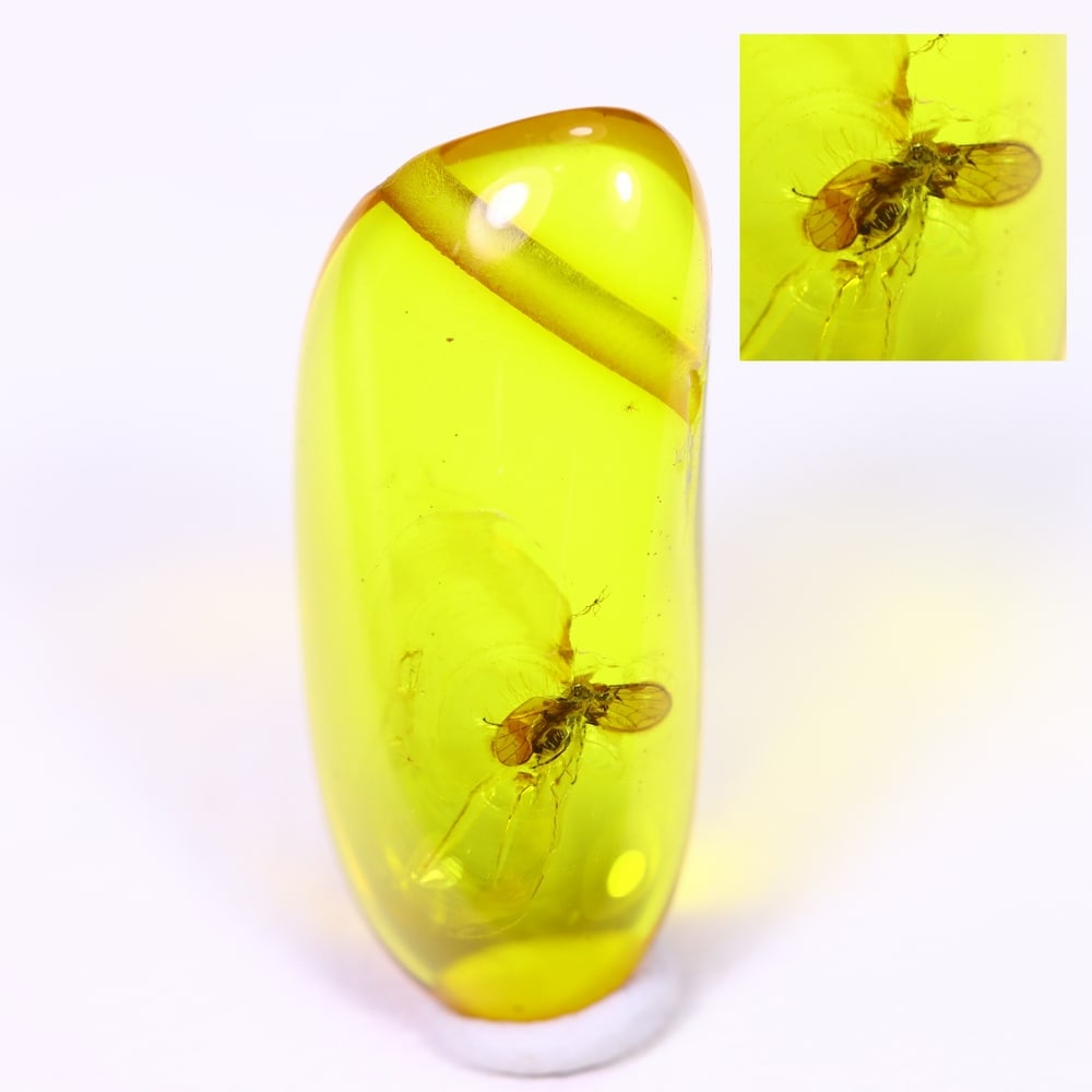 1.55cts Natural Million Year Old Baltic Insect Amber, 16x7mm: Ksmith Jewels Global Welcome to our auction house, today auction brought to you by Ksmith Jewels Global based in Penang, Malaysia specialize in all kinds of opal and color gemstone both in manufacturi
