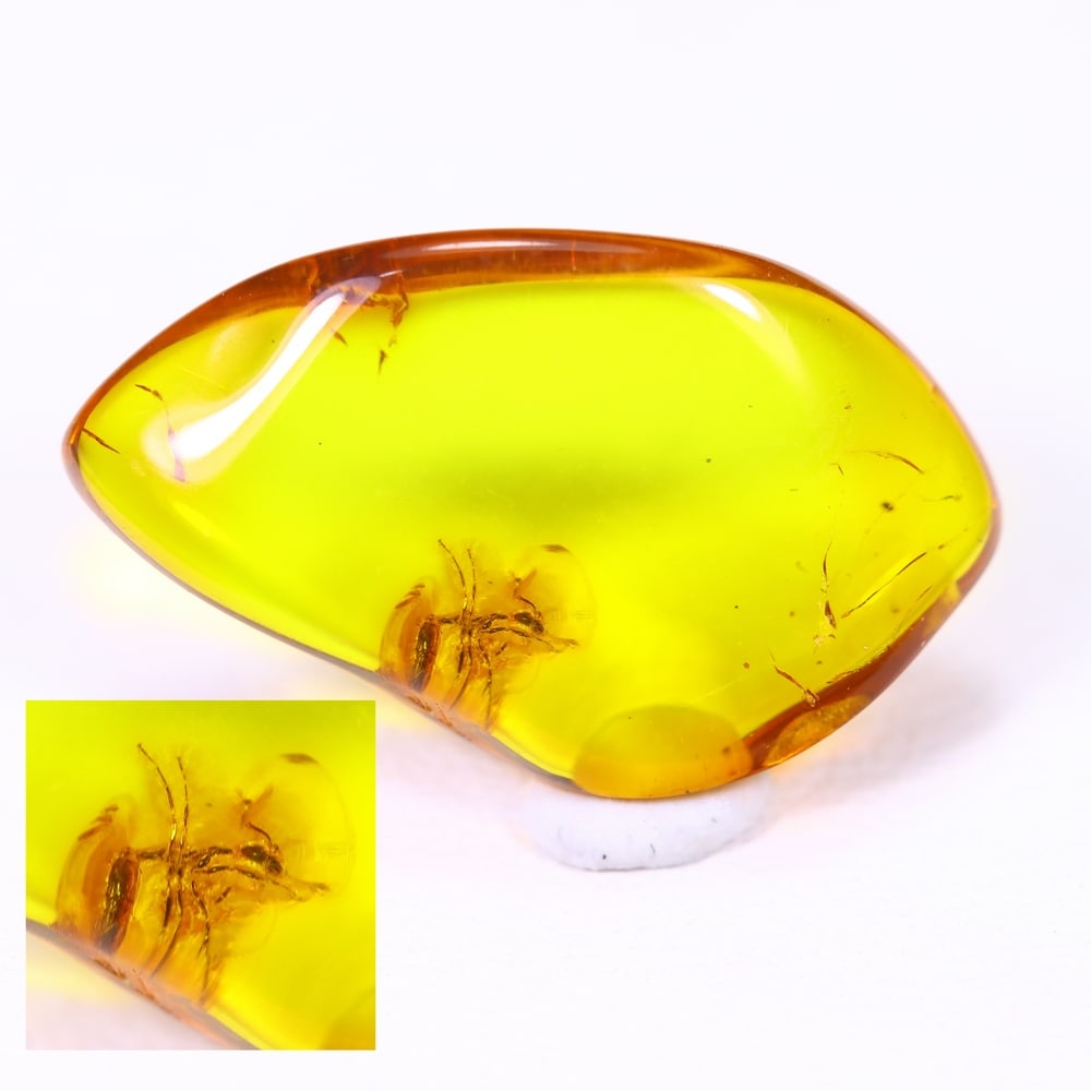 1.99cts Natural Million Year Old Baltic Insect Amber, 17x10mm: Ksmith Jewels Global Welcome to our auction house, today auction brought to you by Ksmith Jewels Global based in Penang, Malaysia specialize in all kinds of opal and color gemstone both in manufacturi
