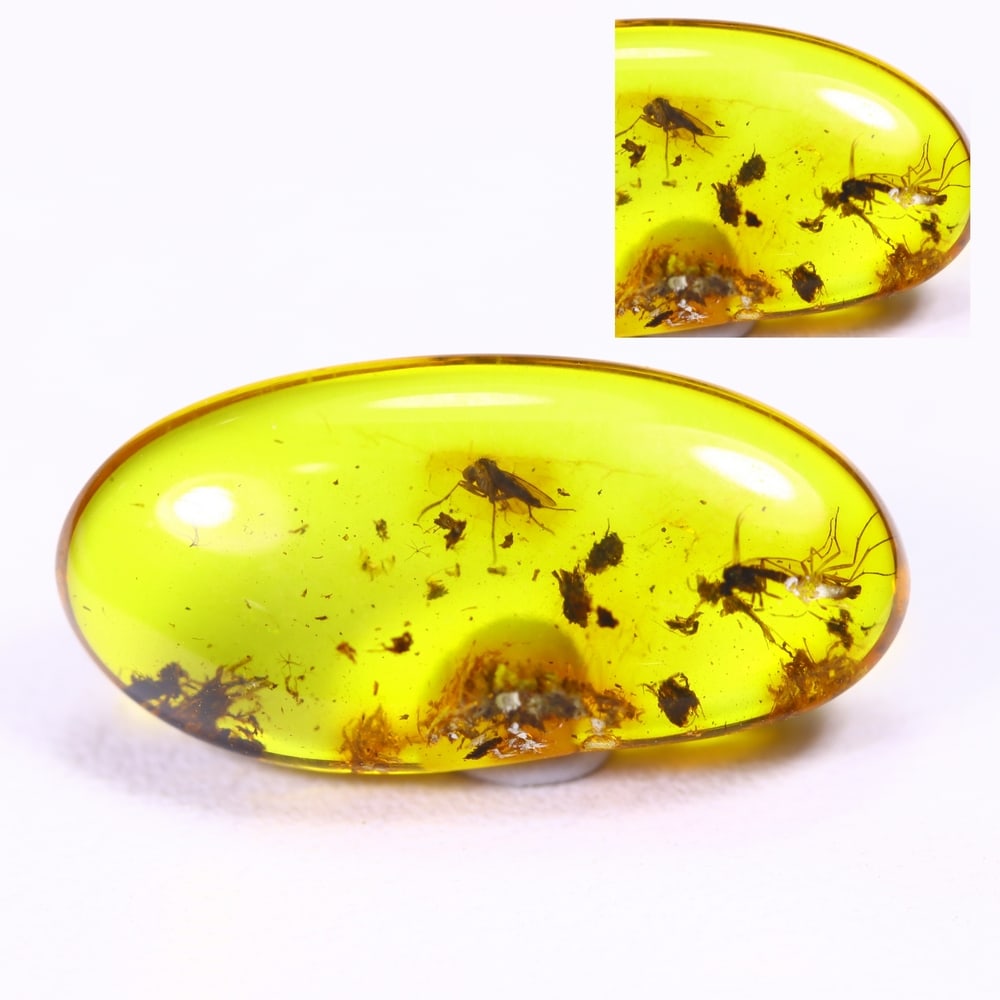 1.79cts Natural Million Year Old Baltic Insect Amber, 17x8mm: Ksmith Jewels Global Welcome to our auction house, today auction brought to you by Ksmith Jewels Global based in Penang, Malaysia specialize in all kinds of opal and color gemstone both in manufacturi