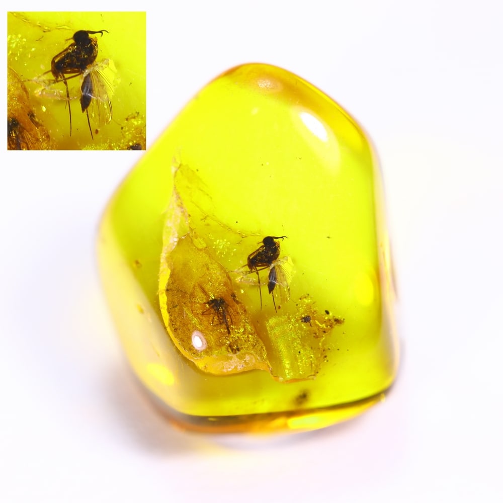 4.15cts Natural Million Year Old Baltic Insect Amber, 14x11mm: Ksmith Jewels Global Welcome to our auction house, today auction brought to you by Ksmith Jewels Global based in Penang, Malaysia specialize in all kinds of opal and color gemstone both in manufacturi