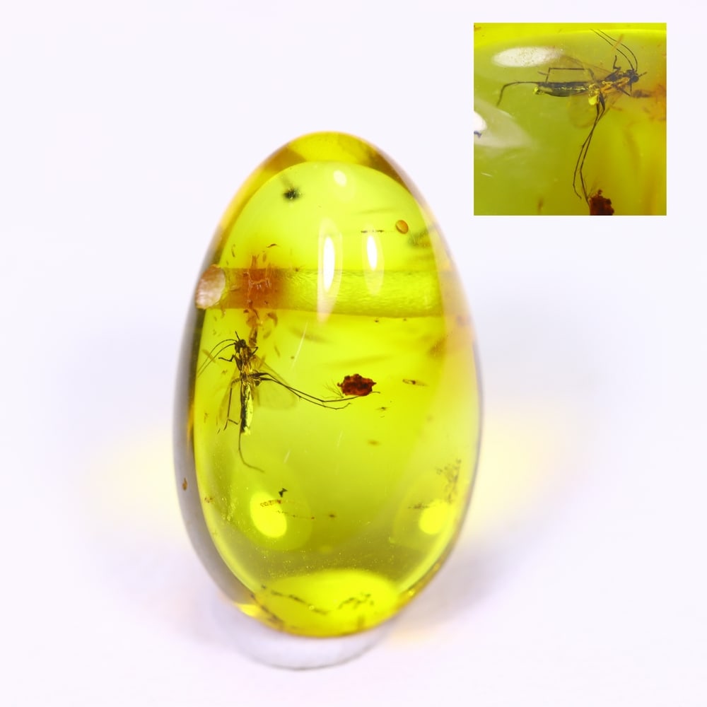 2.16cts Natural Million Year Old Baltic Insect Amber, 14x8mm: Ksmith Jewels Global Welcome to our auction house, today auction brought to you by Ksmith Jewels Global based in Penang, Malaysia specialize in all kinds of opal and color gemstone both in manufacturi