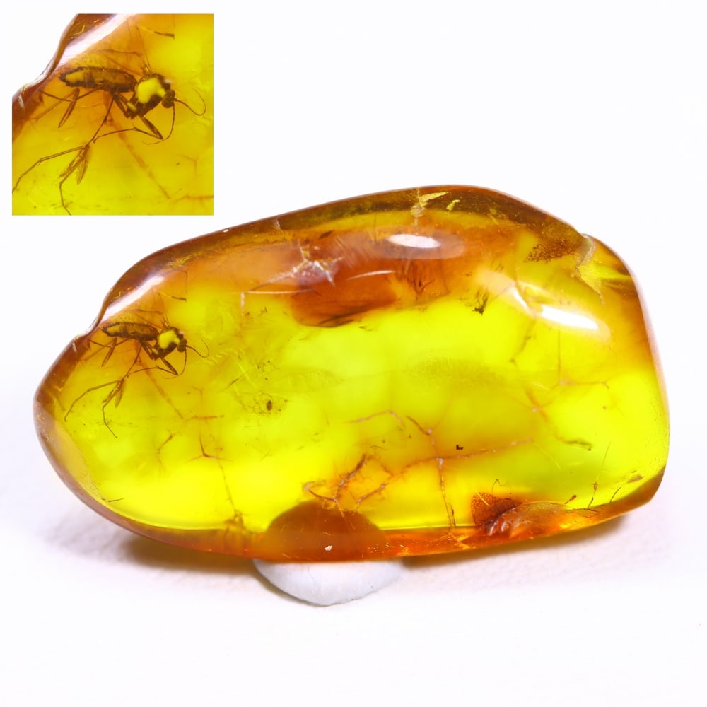 3.55cts Natural Million Year Old Baltic Insect Amber, 19x11mm: Ksmith Jewels Global Welcome to our auction house, today auction brought to you by Ksmith Jewels Global based in Penang, Malaysia specialize in all kinds of opal and color gemstone both in manufacturi
