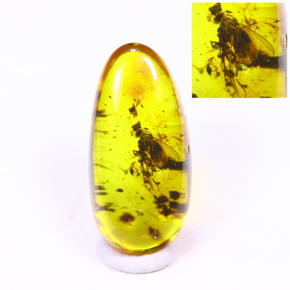 1.66cts Natural Million Year Old Baltic Insect Amber, 14x7mm: Ksmith Jewels Global Welcome to our auction house, today auction brought to you by Ksmith Jewels Global based in Penang, Malaysia specialize in all kinds of opal and color gemstone both in manufacturi