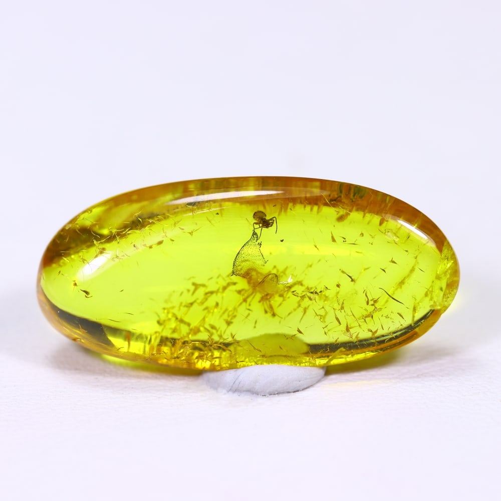 3.63cts Natural Million Year Old Baltic Insect Amber, 22x10mm: Ksmith Jewels Global Welcome to our auction house, today auction brought to you by Ksmith Jewels Global based in Penang, Malaysia specialize in all kinds of opal and color gemstone both in manufacturi