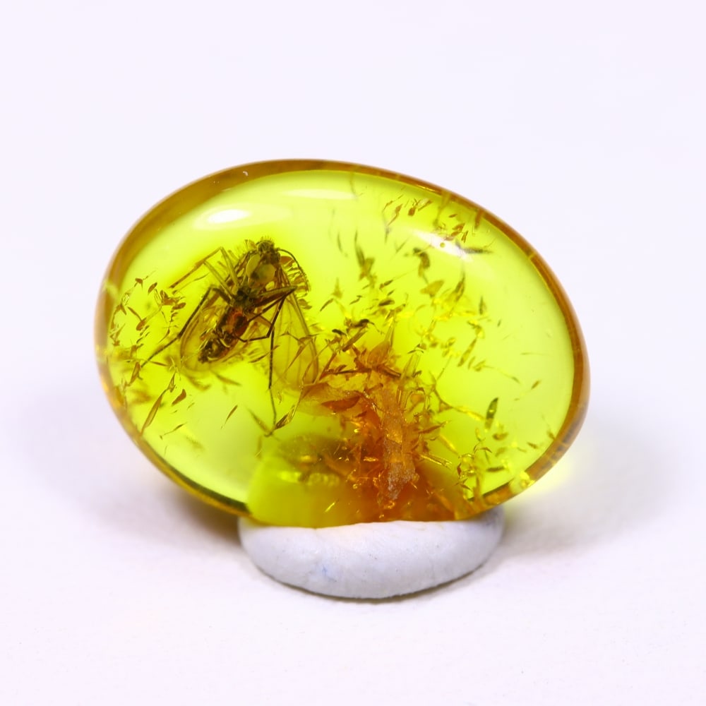 *1.82cts Natural Million Year Old Baltic Insect Amber, 13x10mm: Ksmith Jewels Global Welcome to our auction house, today auction brought to you by Ksmith Jewels Global based in Penang, Malaysia specialize in all kinds of opal and color gemstone both in manufacturi