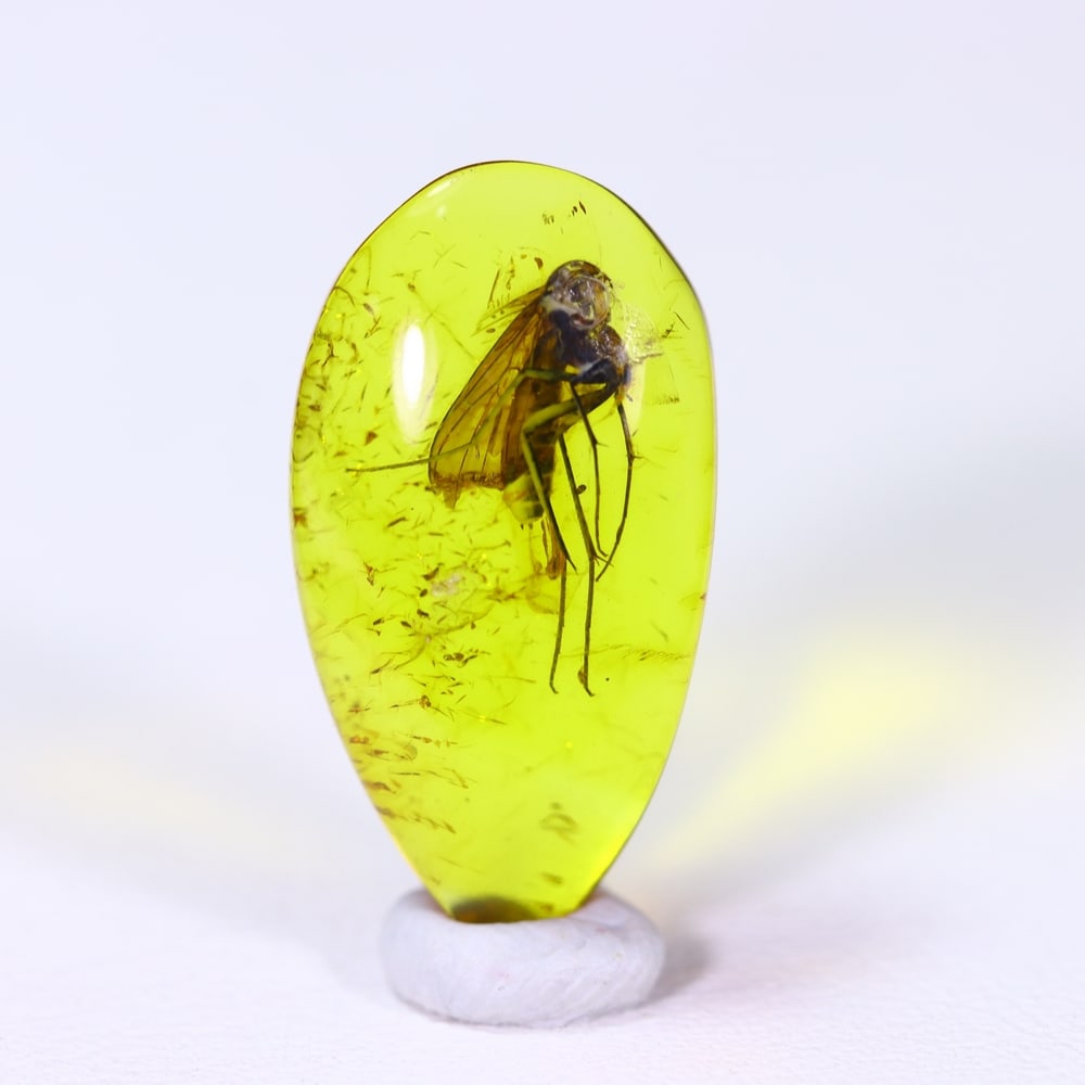 2.36cts Natural Million Year Old Baltic Insect Amber, 18x10mm: Ksmith Jewels Global Welcome to our auction house, today auction brought to you by Ksmith Jewels Global based in Penang, Malaysia specialize in all kinds of opal and color gemstone both in manufacturi