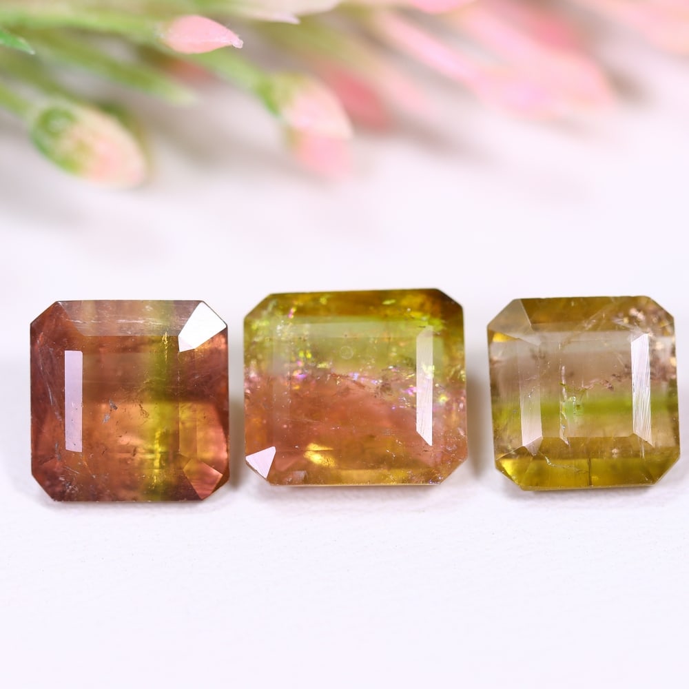 9.11cts Natural Watermelon Tourmaline Set - Bi-Colour Faceted Cut (1 of 2)
