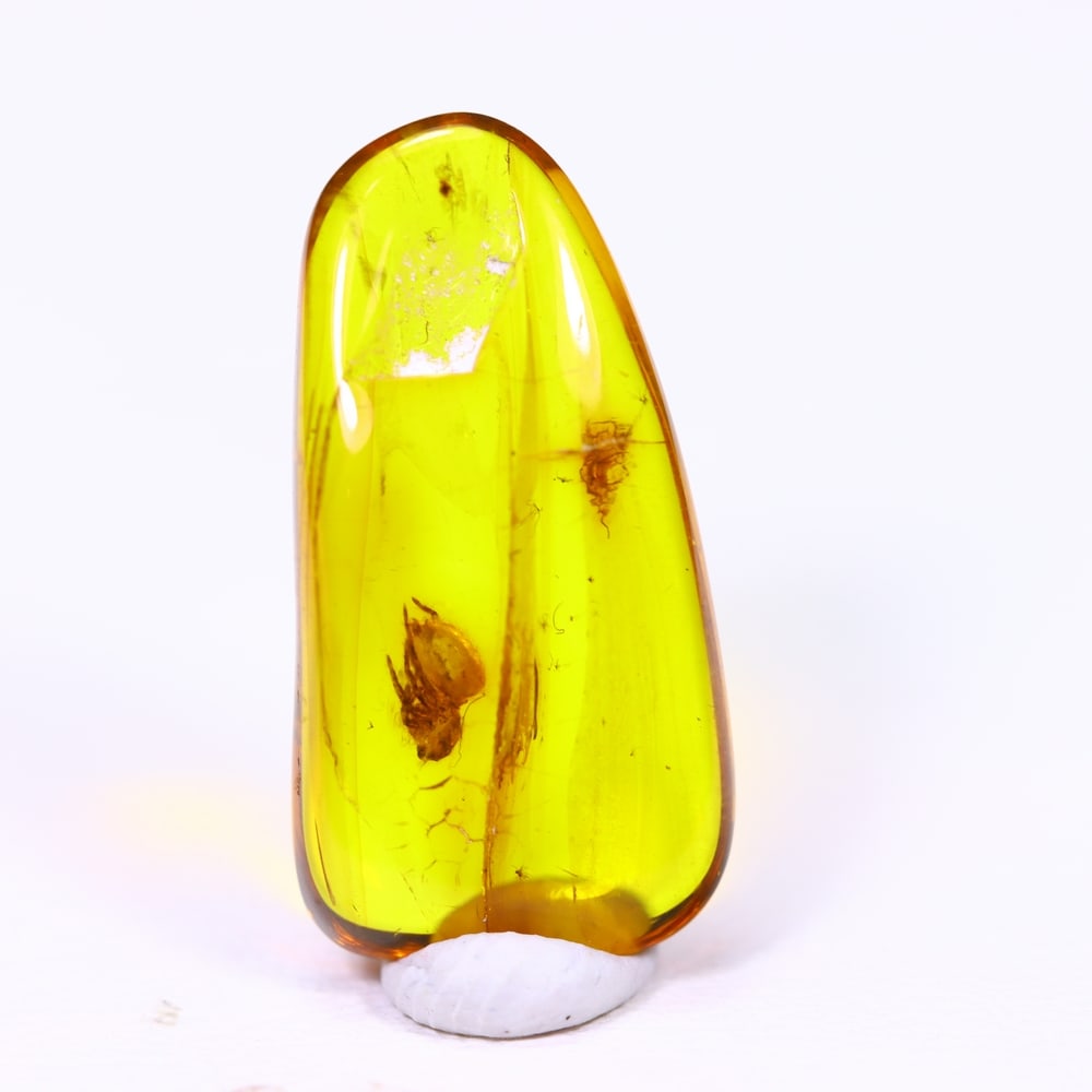 1.85cts Natural Million Year Old Baltic Insect Amber, 17x9mm: Ksmith Jewels Global Welcome to our auction house, today auction brought to you by Ksmith Jewels Global based in Penang, Malaysia specialize in all kinds of opal and color gemstone both in manufacturi
