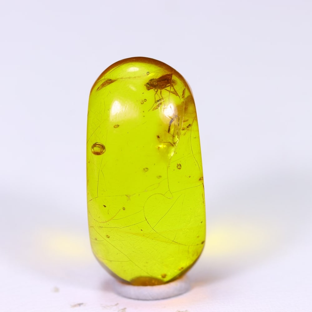 6.70cts Natural Million Year Old Baltic Insect Amber, 23x11mm: Ksmith Jewels Global Welcome to our auction house, today auction brought to you by Ksmith Jewels Global based in Penang, Malaysia specialize in all kinds of opal and color gemstone both in manufacturi