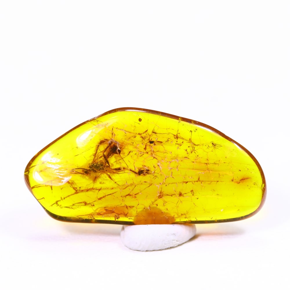 2.62cts Natural Million Year Old Baltic Insect Amber, 22x11mm: Ksmith Jewels Global Welcome to our auction house, today auction brought to you by Ksmith Jewels Global based in Penang, Malaysia specialize in all kinds of opal and color gemstone both in manufacturi