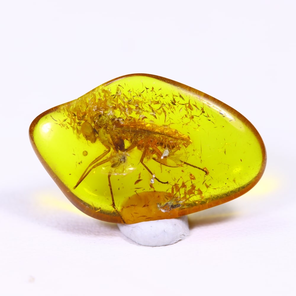 1.93cts Natural Million Year Old Baltic Insect Amber, 18x11mm: Ksmith Jewels Global Welcome to our auction house, today auction brought to you by Ksmith Jewels Global based in Penang, Malaysia specialize in all kinds of opal and color gemstone both in manufacturi