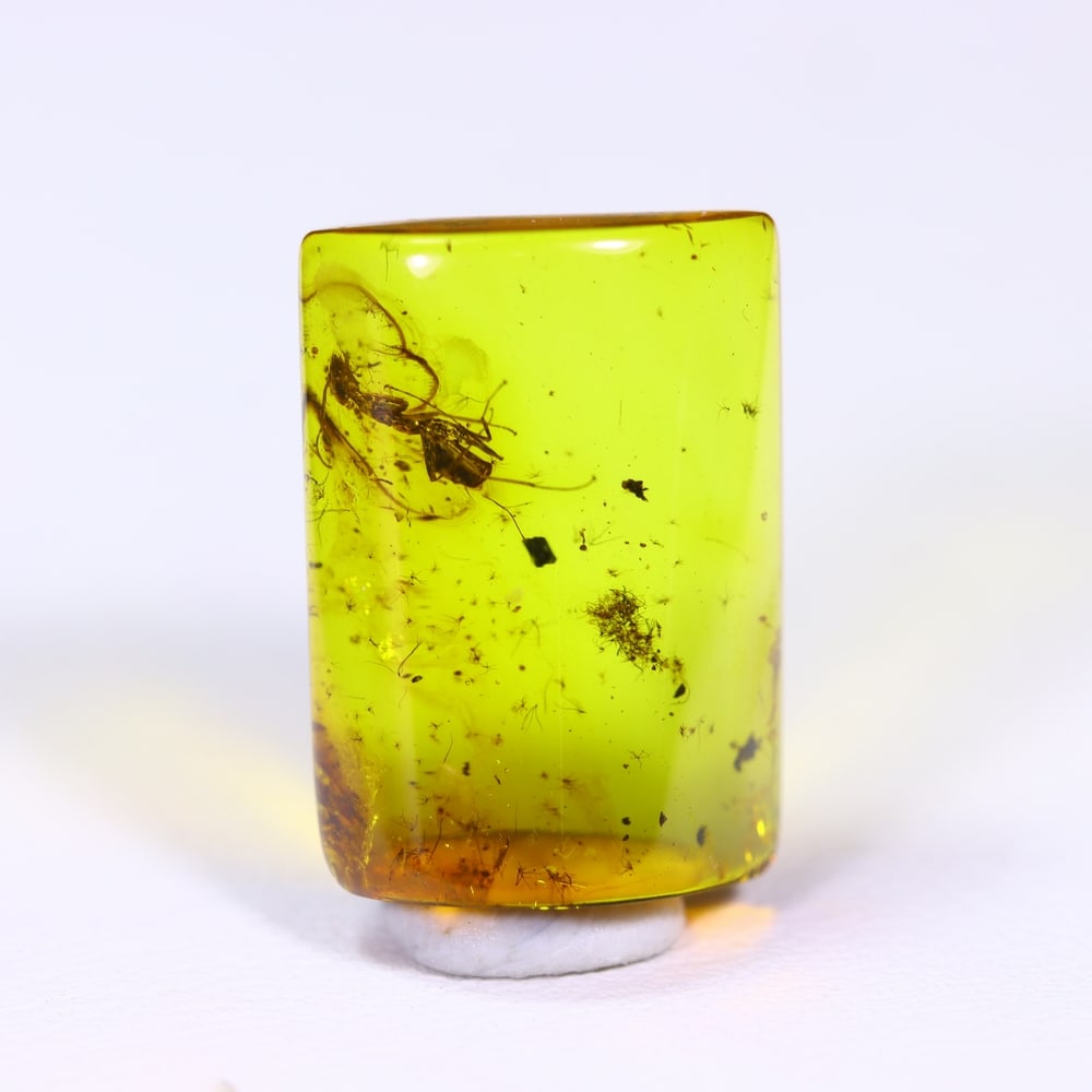 4.39cts Natural Million Year Old Baltic Insect Amber, 16x11mm: Ksmith Jewels Global Welcome to our auction house, today auction brought to you by Ksmith Jewels Global based in Penang, Malaysia specialize in all kinds of opal and color gemstone both in manufacturi