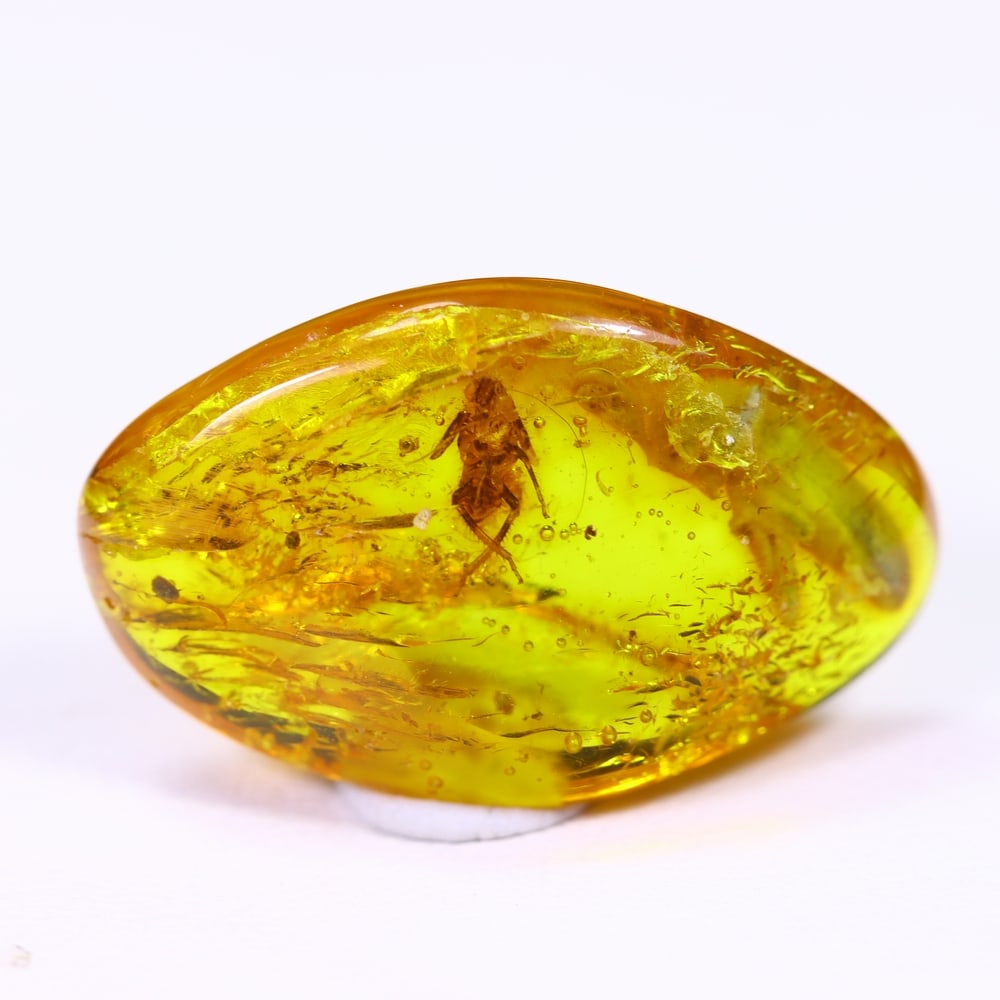 4.29cts Natural Million Year Old Baltic Insect Amber, 21x13mm: Ksmith Jewels Global Welcome to our auction house, today auction brought to you by Ksmith Jewels Global based in Penang, Malaysia specialize in all kinds of opal and color gemstone both in manufacturi