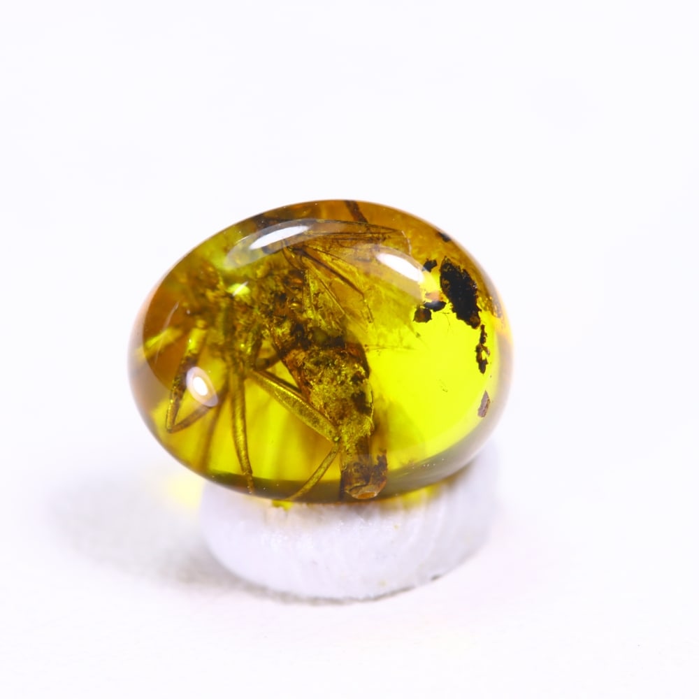 0.84cts Natural Million Year Old Baltic Insect Amber, 8x6mm (1 of 6)