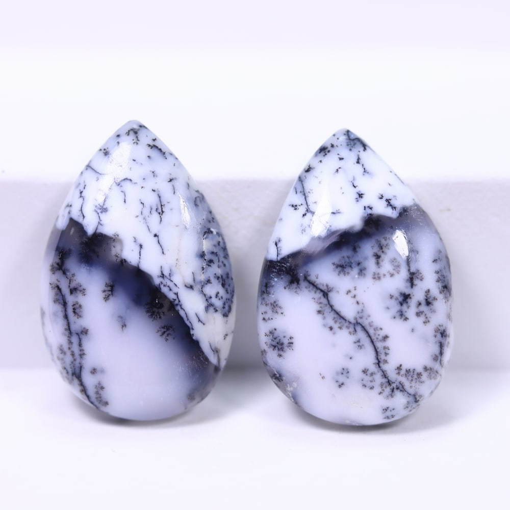16.58Ct Dendrite Opal Pair - Cabochon Polished (1 of 2)