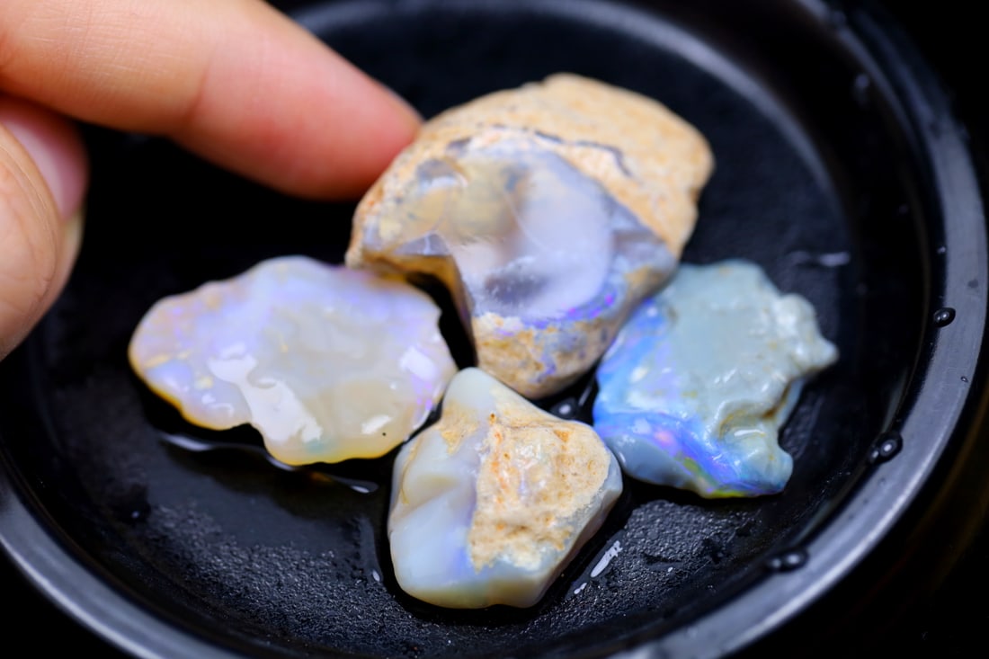 Rare Opal Fossil Lightning Ridge Fossilized Opal 73.78cts 32x23x11MM: Ksmith Jewels Global Welcome to our auction house, today auction brought to you by Ksmith Jewels Global based in Penang, Malaysia specialize in all kinds of opal and color gemstone both in manufacturi