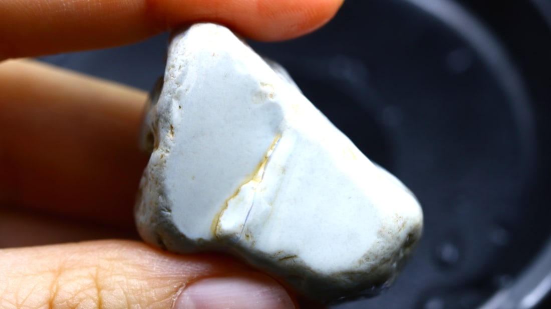 Rare Opal Fossil Lightning Ridge Fossilized Opal 82.59cts 35.5x24x16.6MM: Ksmith Jewels Global Welcome to our auction house, today auction brought to you by Ksmith Jewels Global based in Penang, Malaysia specialize in all kinds of opal and color gemstone both in manufacturi