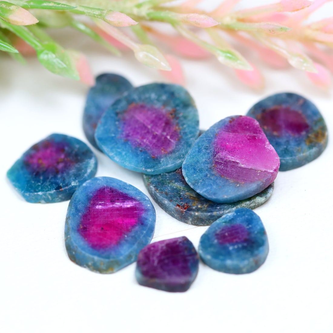 16.83Ct Group of Natural Bi-Color Ruby Slice Lot (1 of 2)