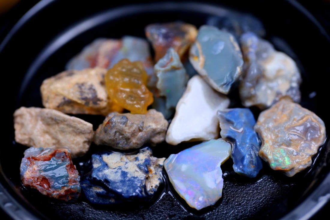 Rare Opal Fossil Lightning Ridge Fossilized Opal 95.85cts 18x12x9MM: Ksmith Jewels Global Welcome to our auction house, today auction brought to you by Ksmith Jewels Global based in Penang, Malaysia specialize in all kinds of opal and color gemstone both in manufacturi