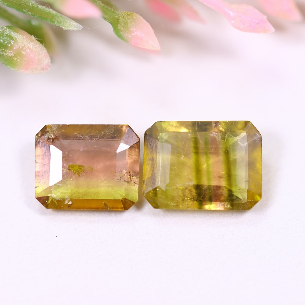4.12cts Natural Watermelon Tourmaline Set - Bi-Colour Faceted Cut, 169E: Ksmith Heritage Auctioneers Welcome to our auction house, today auction brought to you by Ksmith Heritage Auctioneers based in Penang, Malaysia specialize in all kinds of opal and color gemstone both