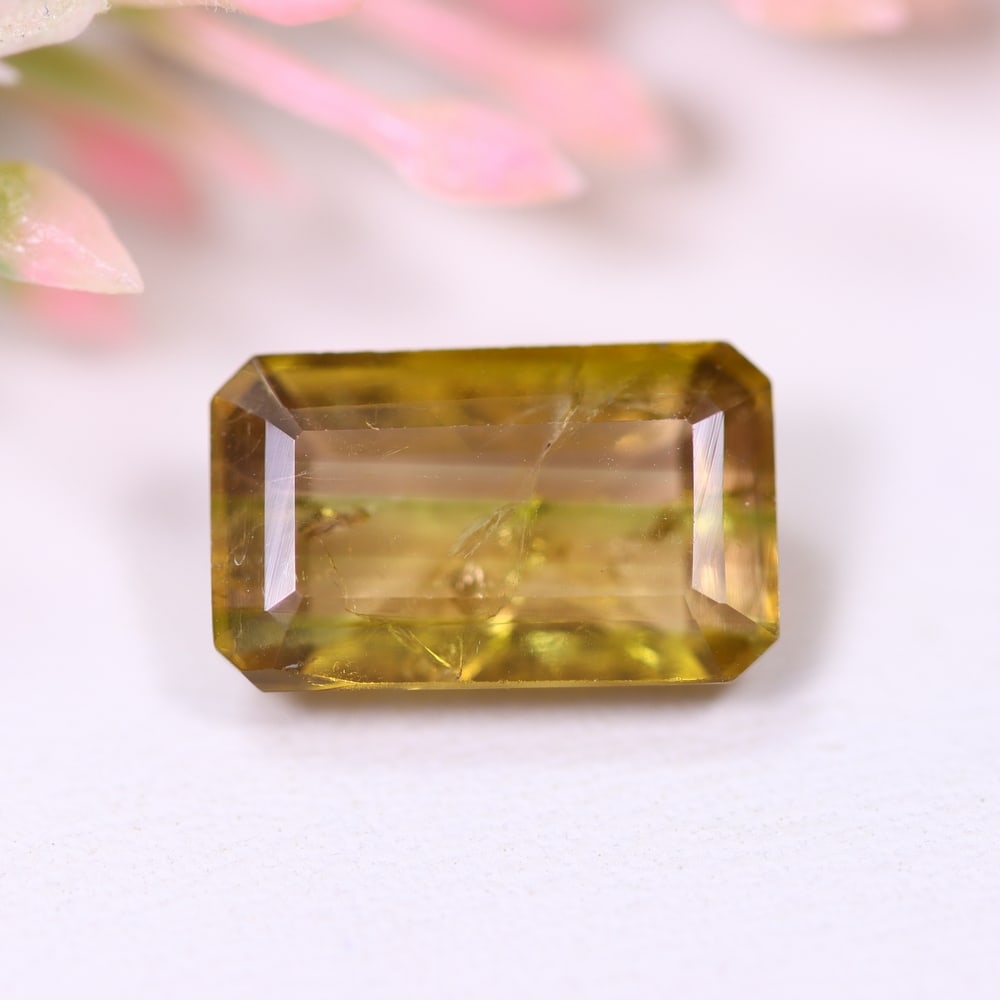 3.87cts Natural Watermelon Tourmaline - Bi-Colour Faceted Cut, 487E: Ksmith Heritage Auctioneers Welcome to our auction house, today auction brought to you by Ksmith Heritage Auctioneers based in Penang, Malaysia specialize in all kinds of opal and color gemstone both