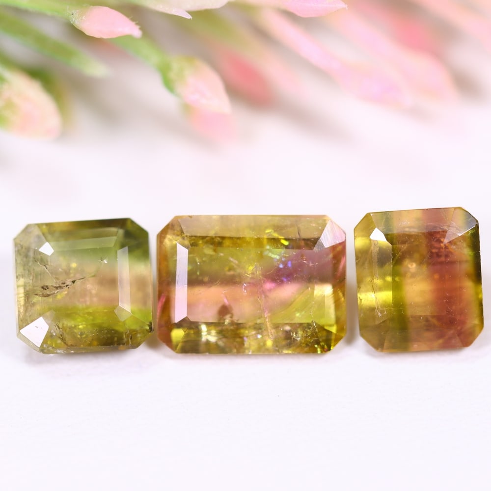7.02cts Natural Watermelon Tourmaline Set - Bi-Colour Faceted Cut, 469E: Ksmith Heritage Auctioneers Welcome to our auction house, today auction brought to you by Ksmith Heritage Auctioneers based in Penang, Malaysia specialize in all kinds of opal and color gemstone both