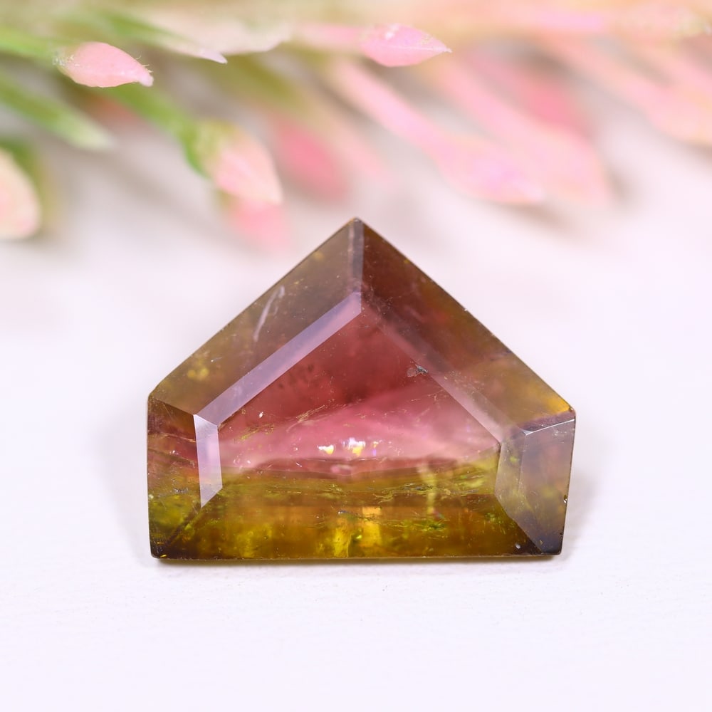 5.98cts Natural Watermelon Tourmaline - Bi-Colour Faceted Cut, 640E: Ksmith Heritage Auctioneers Welcome to our auction house, today auction brought to you by Ksmith Heritage Auctioneers based in Penang, Malaysia specialize in all kinds of opal and color gemstone both