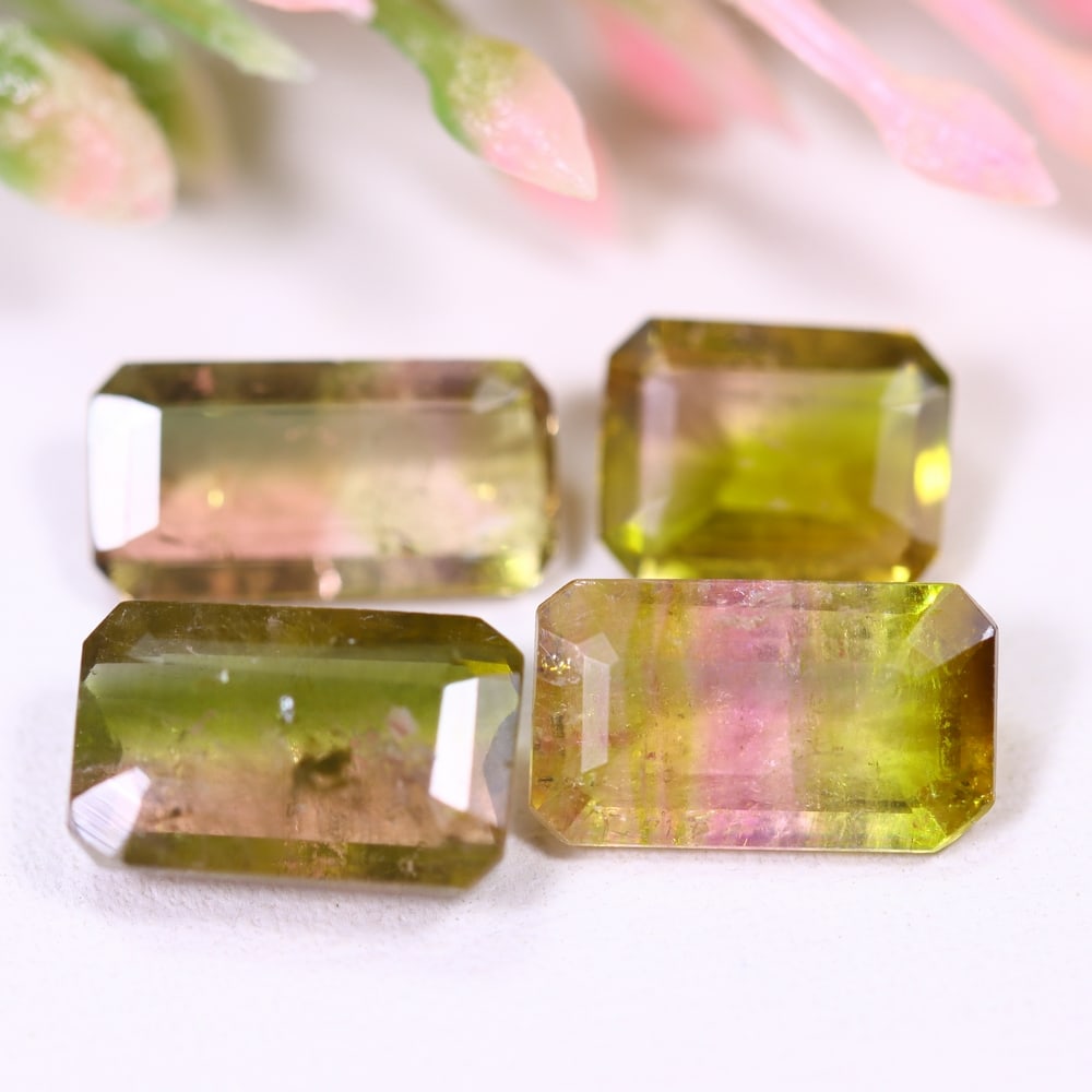 5.80cts Natural Watermelon Tourmaline Set - Bi-Colour Faceted Cut, 138E: Ksmith Heritage Auctioneers Welcome to our auction house, today auction brought to you by Ksmith Heritage Auctioneers based in Penang, Malaysia specialize in all kinds of opal and color gemstone both