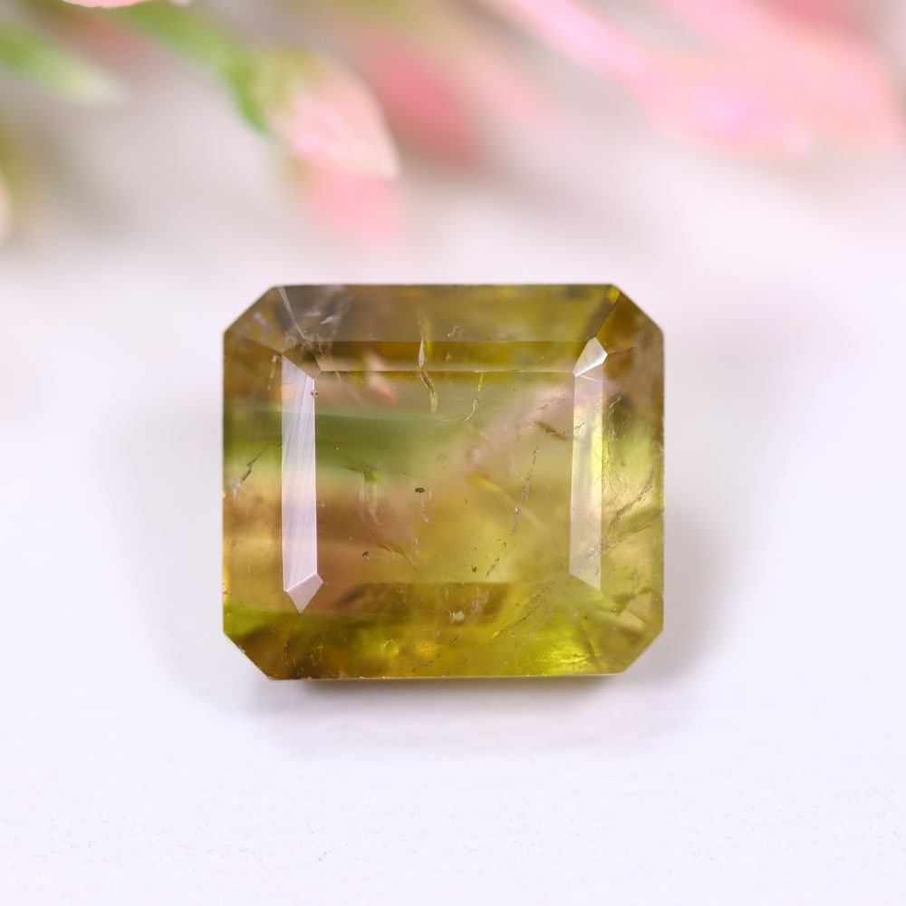 4.86cts Natural Watermelon Tourmaline - Bi-Colour Faceted Cut, 522E: Ksmith Heritage Auctioneers Welcome to our auction house, today auction brought to you by Ksmith Heritage Auctioneers based in Penang, Malaysia specialize in all kinds of opal and color gemstone both