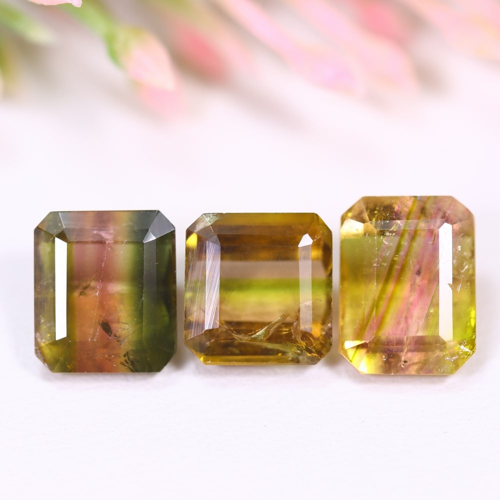 7.90cts Natural Watermelon Tourmaline Set - Bi-Colour Faceted Cut, 319E: Ksmith Heritage Auctioneers Welcome to our auction house, today auction brought to you by Ksmith Heritage Auctioneers based in Penang, Malaysia specialize in all kinds of opal and color gemstone both