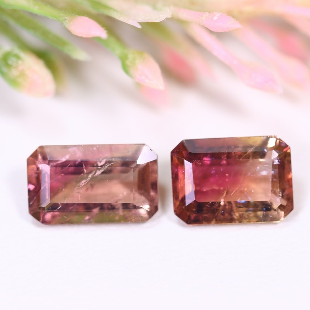 4.74cts Natural Watermelon Tourmaline Set - Bi-Colour Faceted Cut, 17E (1 of 2)