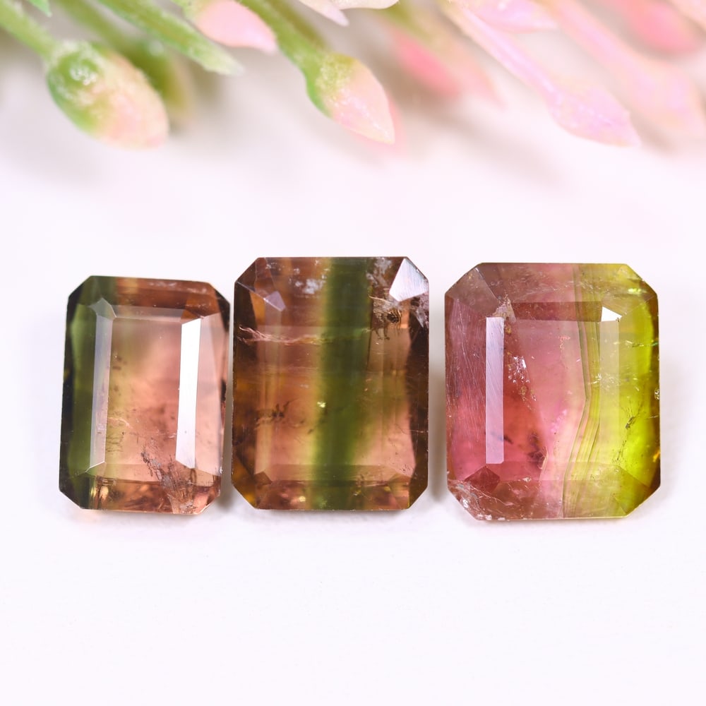 8.63cts Natural Watermelon Tourmaline Set - Bi-Colour Faceted Cut, 1170E: Ksmith Heritage Auctioneers Welcome to our auction house, today auction brought to you by Ksmith Heritage Auctioneers based in Penang, Malaysia specialize in all kinds of opal and color gemstone both