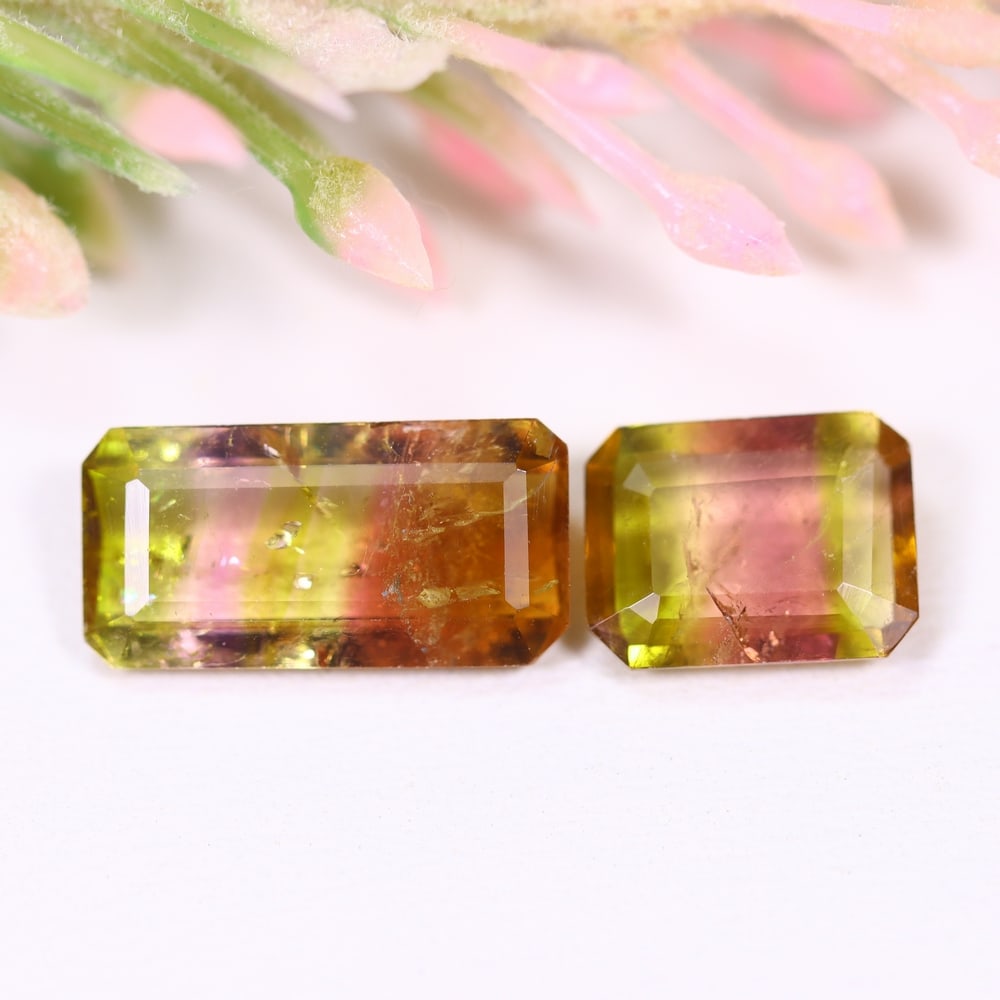 4.48cts Natural Watermelon Tourmaline Set - Bi-Colour Faceted Cut, 269E: Ksmith Heritage Auctioneers Welcome to our auction house, today auction brought to you by Ksmith Heritage Auctioneers based in Penang, Malaysia specialize in all kinds of opal and color gemstone both