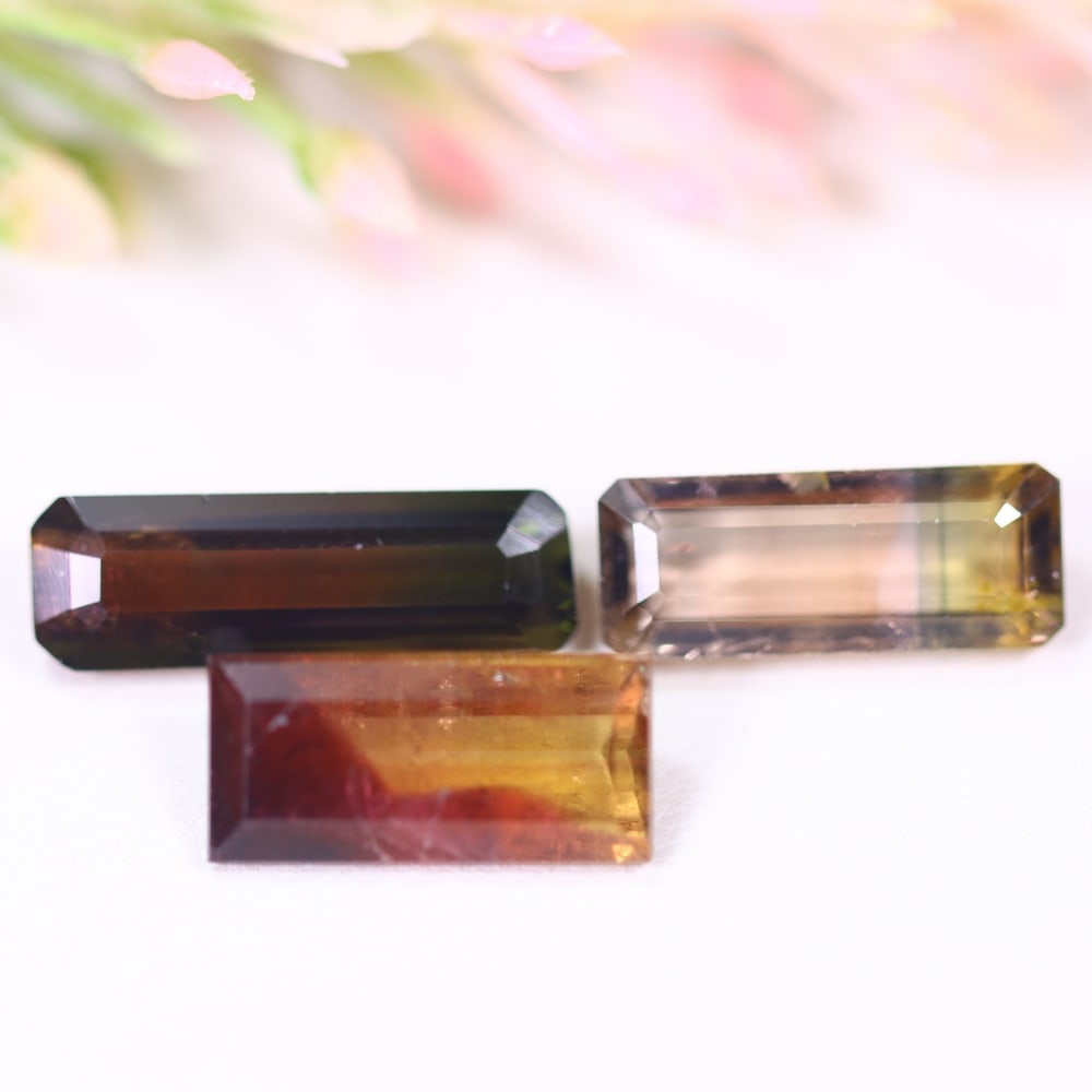 9.88cts Natural Watermelon Tourmaline Set - Bi-Colour Faceted Cut , 937E: Ksmith Heritage Auctioneers Subject: Natural Tourmaline Origin: Africa Carat Weight: 9.88 cts Dimension: 13.6x5.4x4.3 mm Type: Faceted, Polished