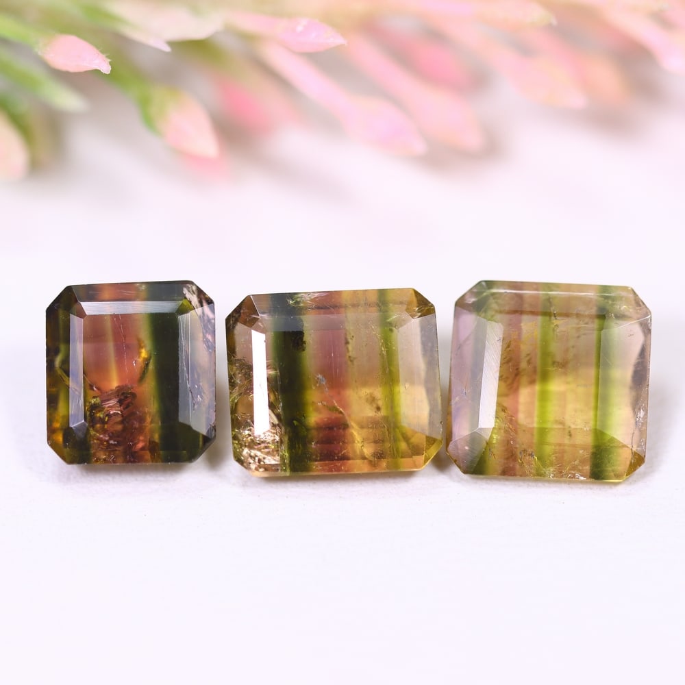 9.51cts Natural Watermelon Tourmaline Set - Bi-Colour Faceted Cut , 219E: Ksmith Heritage Auctioneers Subject: Natural Tourmaline Origin: Africa Carat Weight: 9.51 cts Dimension: 9.2x9.1x3.9 mm Type: Faceted, Polished