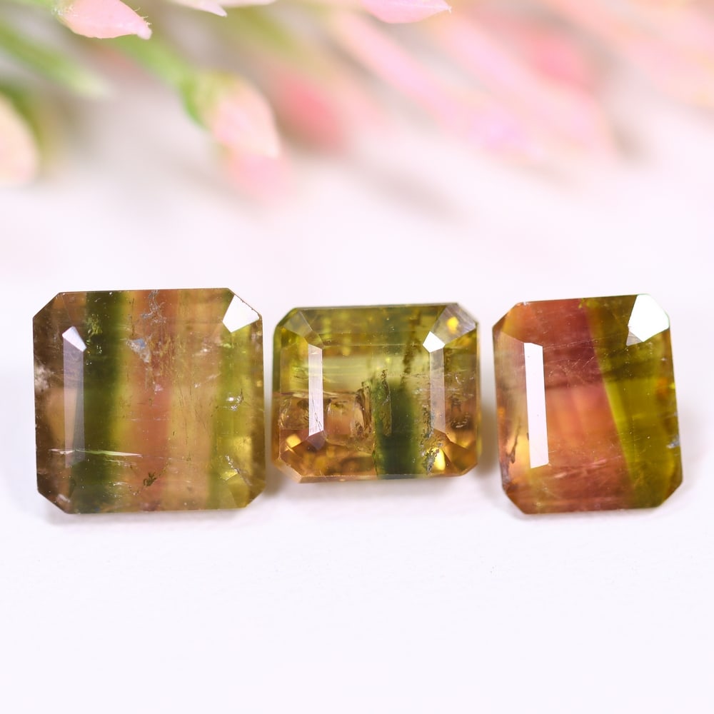 7.12cts Natural Watermelon Tourmaline Set - Bi-Colour Faceted Cut , 1069E: Ksmith Heritage Auctioneers Subject: Natural Tourmaline Origin: Africa Carat Weight: 7.12 cts Dimension: 7.7x6.6x4 mm Type: Faceted, Polished