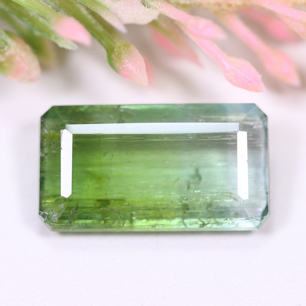 10.40cts Natural Watermelon Tourmaline - Bi-Colour Faceted Cut , 91E: Ksmith Heritage Auctioneers Subject: Natural Tourmaline Origin: Africa Carat Weight: 10.40 cts Dimension: 19x10.5x5.1 mm Type: Faceted, Polished