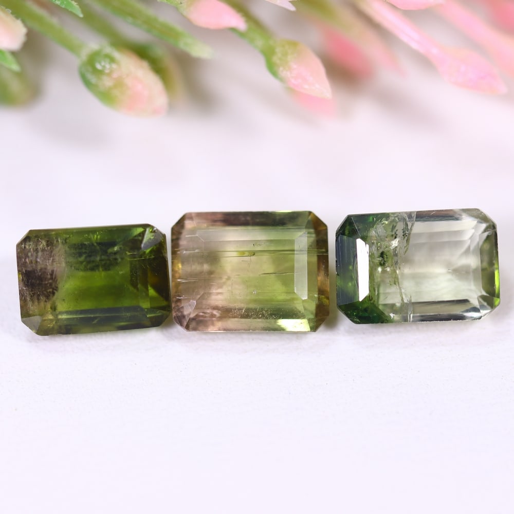 6.26cts Natural Watermelon Tourmaline Set - Bi-Colour Faceted Cut , 820E: Ksmith Heritage Auctioneers Subject: Natural Tourmaline Origin: Africa Carat Weight: 6.26 cts Dimension: 8.2x5.8x5.1 mm Type: Faceted, Polished
