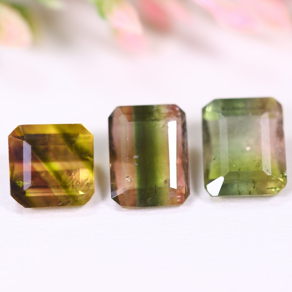 5.52cts Natural Watermelon Tourmaline Set - Bi-Colour Faceted Cut , 345E: Ksmith Heritage Auctioneers Subject: Natural Tourmaline Origin: Africa Carat Weight: 5.52 cts Dimension: 8.3x6.3x3.6 mm Type: Faceted, Polished