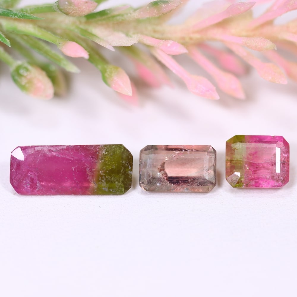 5.00cts Natural Watermelon Tourmaline Set - Bi-Colour Faceted Cut , 366E: Ksmith Heritage Auctioneers Subject: Natural Tourmaline Origin: Africa Carat Weight: 5.00 cts Dimension: 8.5x5.1x3.2 mm Type: Faceted, Polished